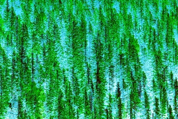 L 044B